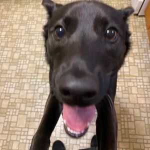 Meet your Posher, Brooklyn